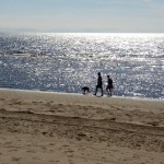 Ayr Beach